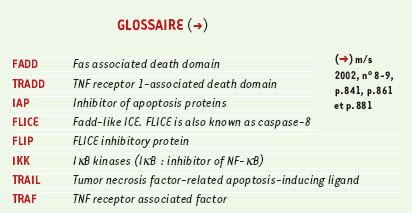 inline-graphic medsci2004202p153-img1.gif