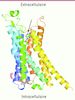 Figure 1 Figure 1