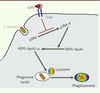 Figure 2. Figure 2.