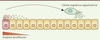Figure 1. Figure 1.
