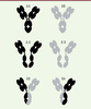 Figure 2. Figure 2.