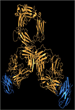 inline-graphic msc190008-img1.jpg
