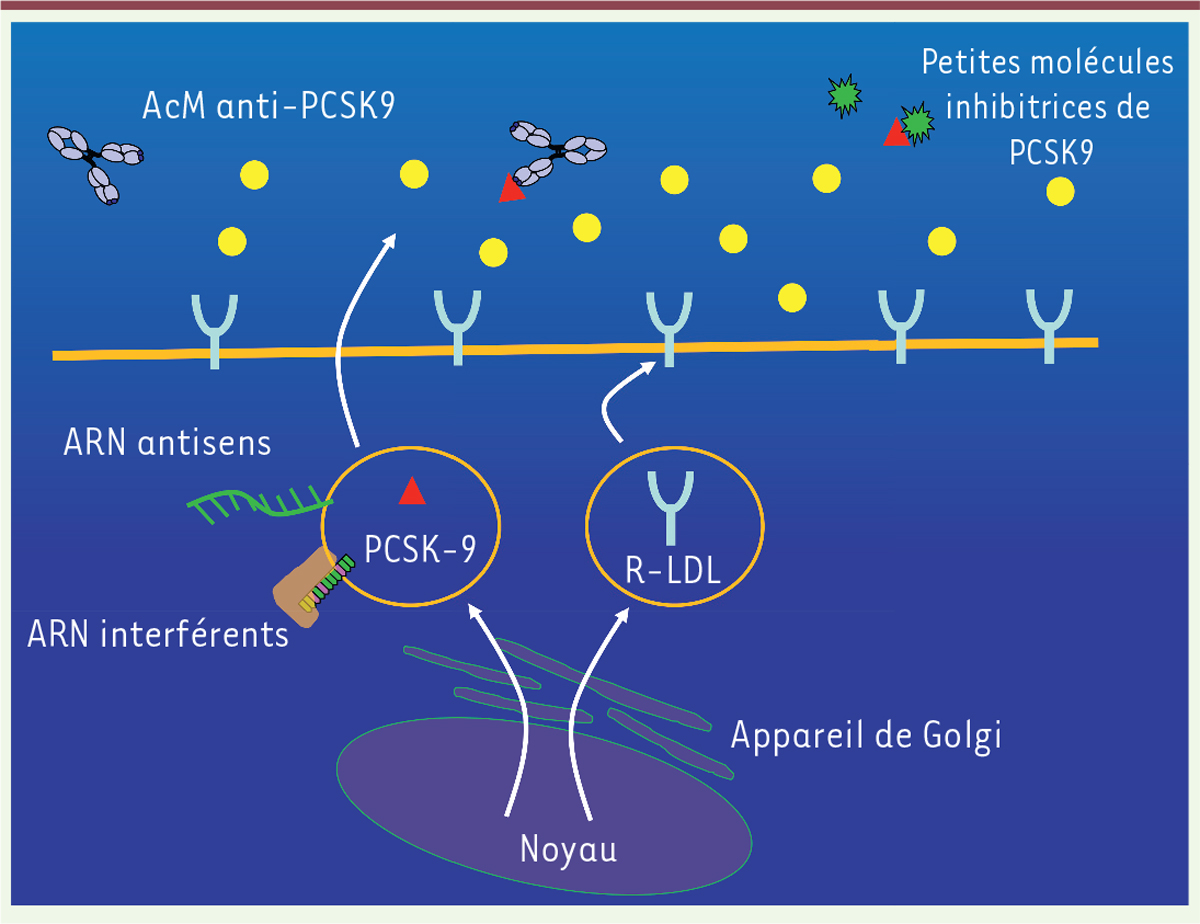 Figure 2.