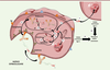 Figure 2. Figure 2.