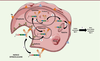 Figure 3. Figure 3.