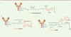 Figure 5. Figure 5.