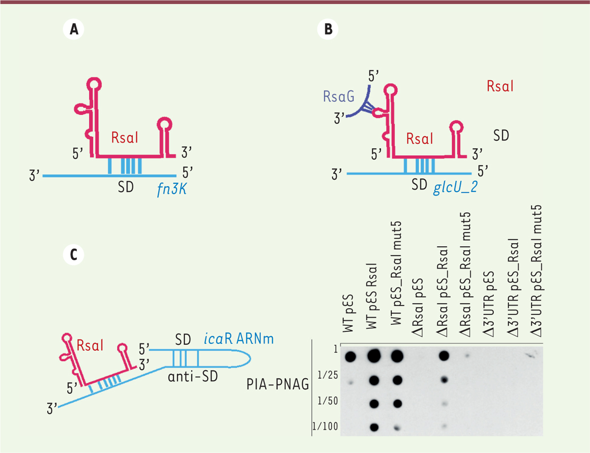 Figure 2.