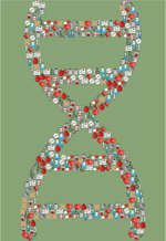 inline-graphic medsci190046s-img1.jpg