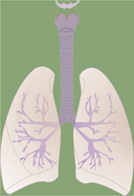 inline-graphic medsci190186s-img1.jpg