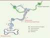 Figure 2. Figure 2.