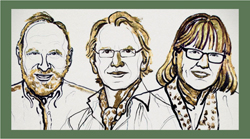 inline-graphic msc190003-img1.jpg