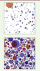 Figure 1. Figure 1.