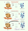 Figure 2. Figure 2.