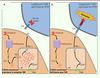 Figure 1. Figure 1.