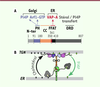Figure 2. Figure 2.