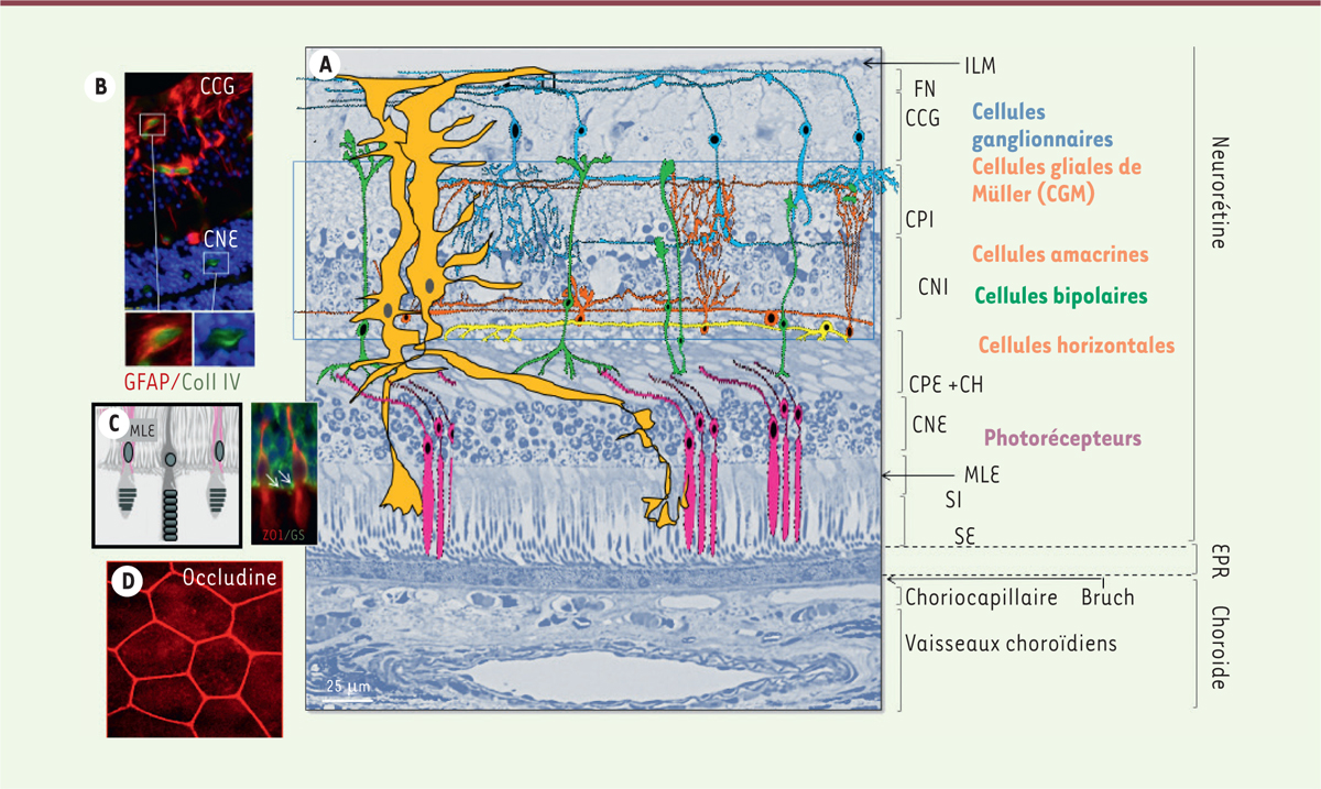 Figure 2.