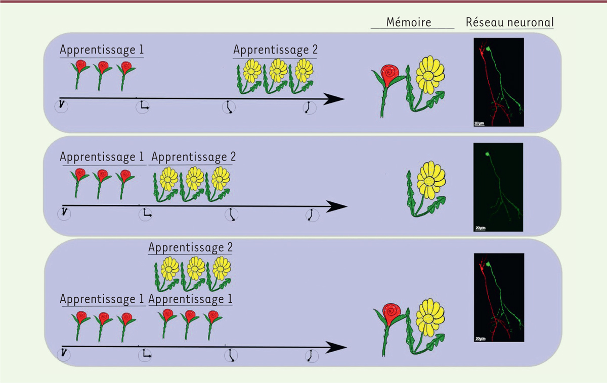Figure 2.
