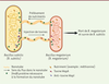 Figure 2. Figure 2.