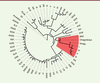 Figure 5. Figure 5.