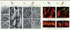 Figure 3. Figure 3.