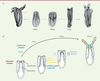 Figure 4. Figure 4.