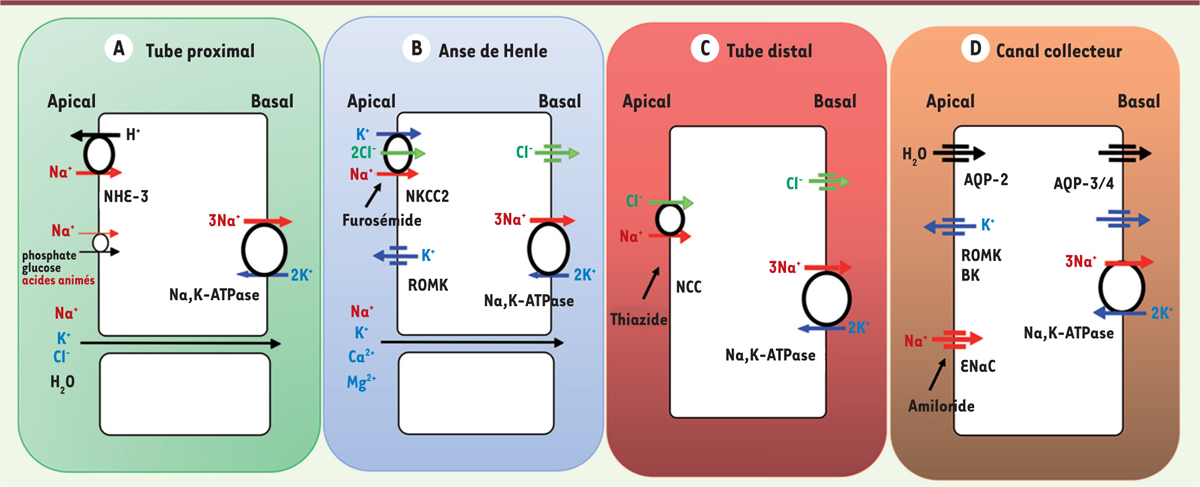 Figure 3.