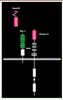 Figure 2. Figure 2.