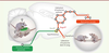 Figure 2. Figure 2.
