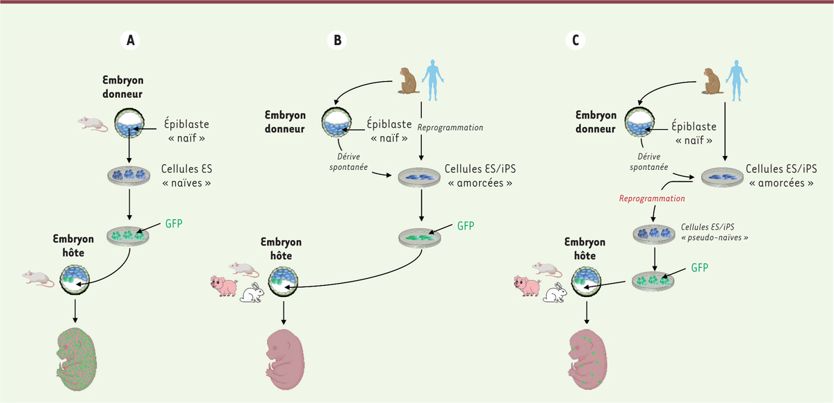 Figure 2.