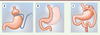 Figure 1. Figure 1.