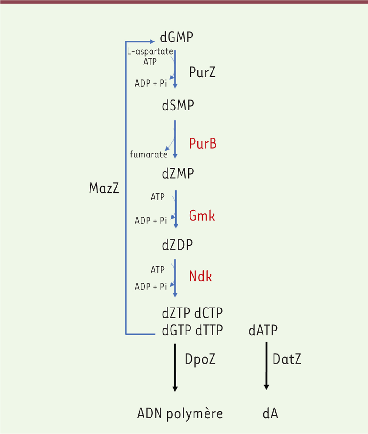 Figure 4.