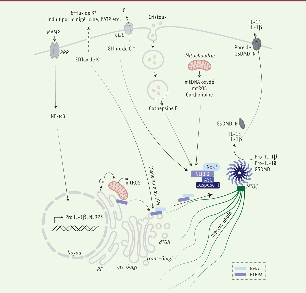 Figure 1.
