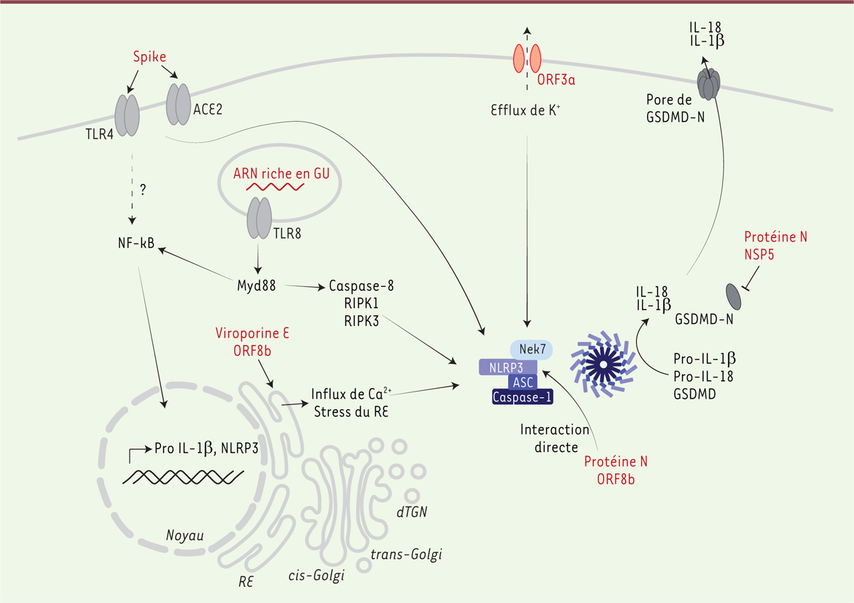 Figure 2.