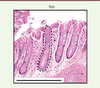 Figure 1. Figure 1.