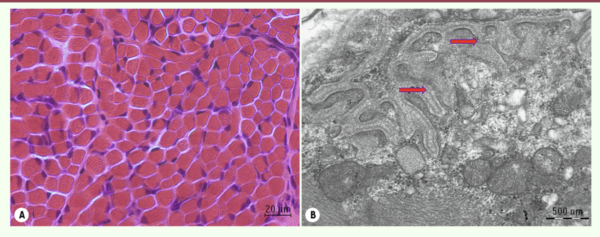 Figure 13.