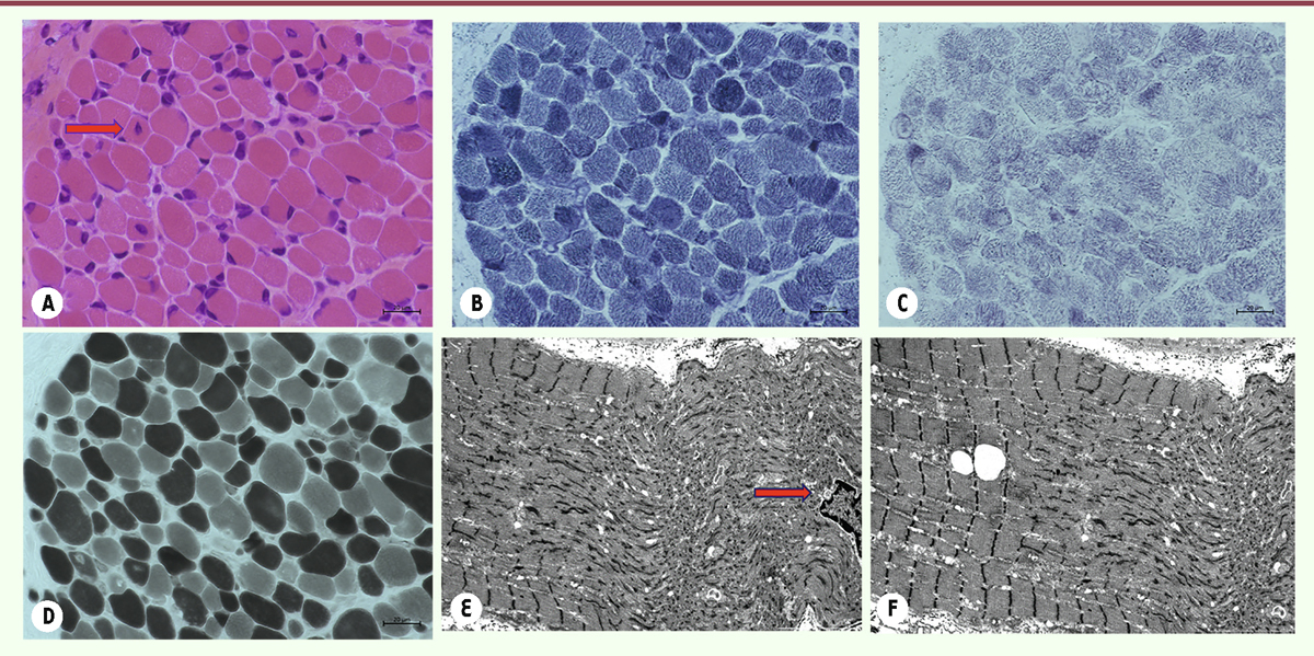 Figure 9.