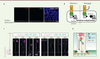 Figure 2. Figure 2.