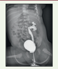 Figure 3. Figure 3.