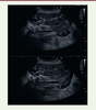 Figure 4. Figure 4.