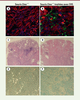 Figure 3. Figure 3.