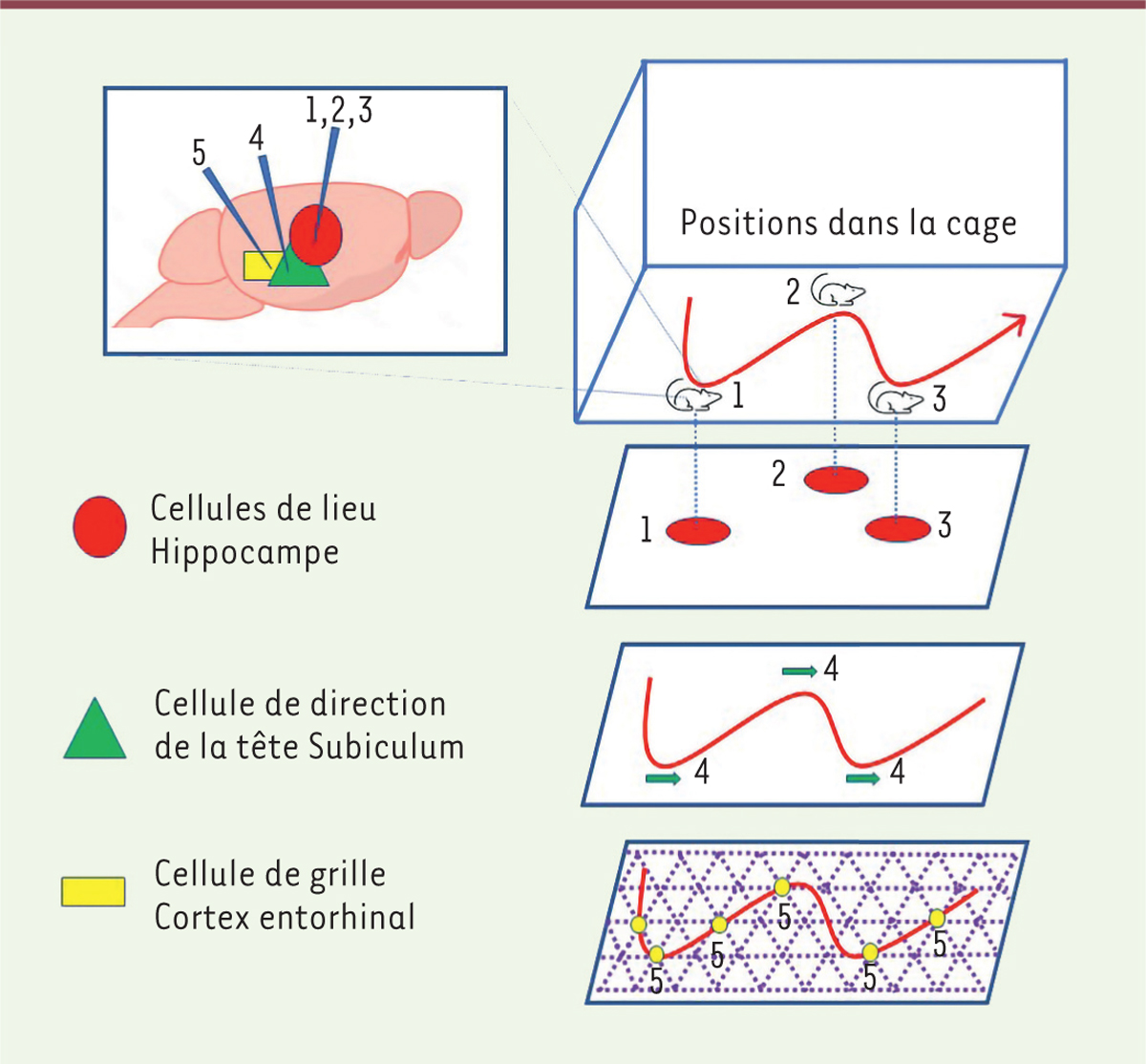 Figure 5.