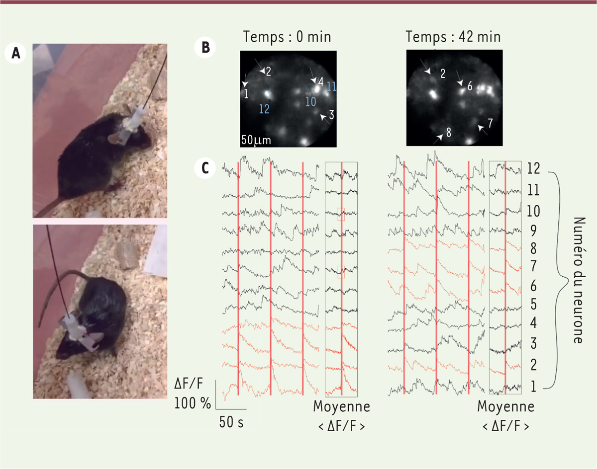 Figure 2.