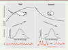Figure 5. Figure 5.