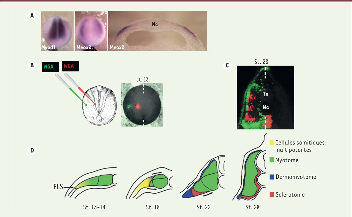 Figure 3.