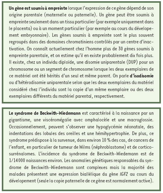 inline-graphic medsci2003191p15-img1.jpg