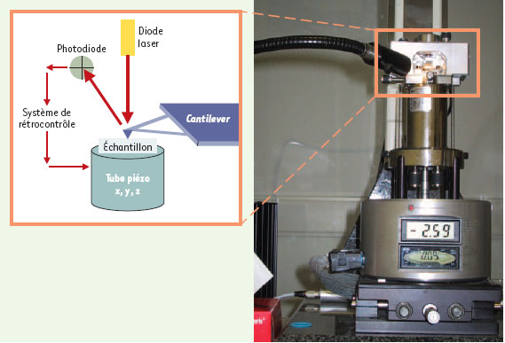 Figure 1.