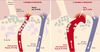 Figure 2. Figure 2.
