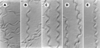 Figure 1. Figure 1.