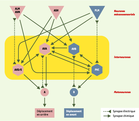 Figure 4.