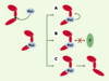 Figure 3. Figure 3.
